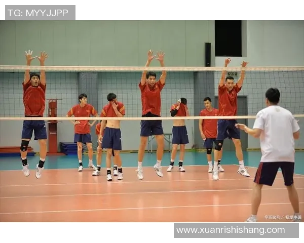 杭州排球队的节奏与风采探秘：排球运动的魅力与团队精神