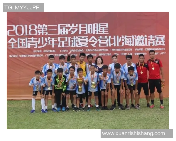 足球明星数量调查分析及其对青少年足球发展的影响研究 足球明星数量调查分析及其对青少年足球发展的影响研究