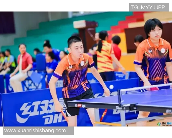 最新乒乓球个人能力TOP10：南京乒乓球队领跑