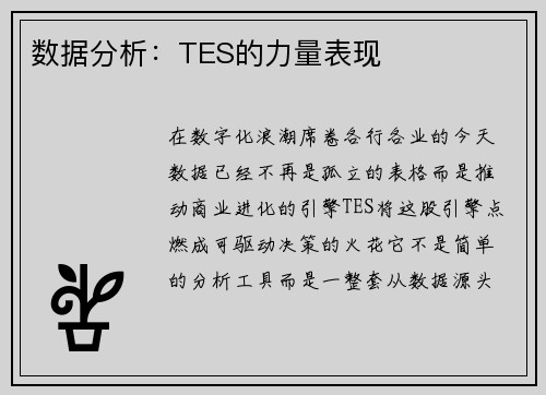 数据分析：TES的力量表现