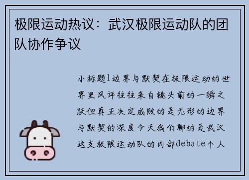 极限运动热议：武汉极限运动队的团队协作争议